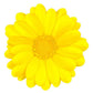 Daisy Shaped Round Place mat Set of 6 pieces - Yellow